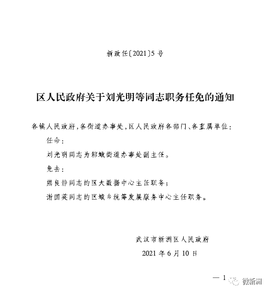 杨哥村委会人事任命揭晓，塑造未来乡村发展新篇章