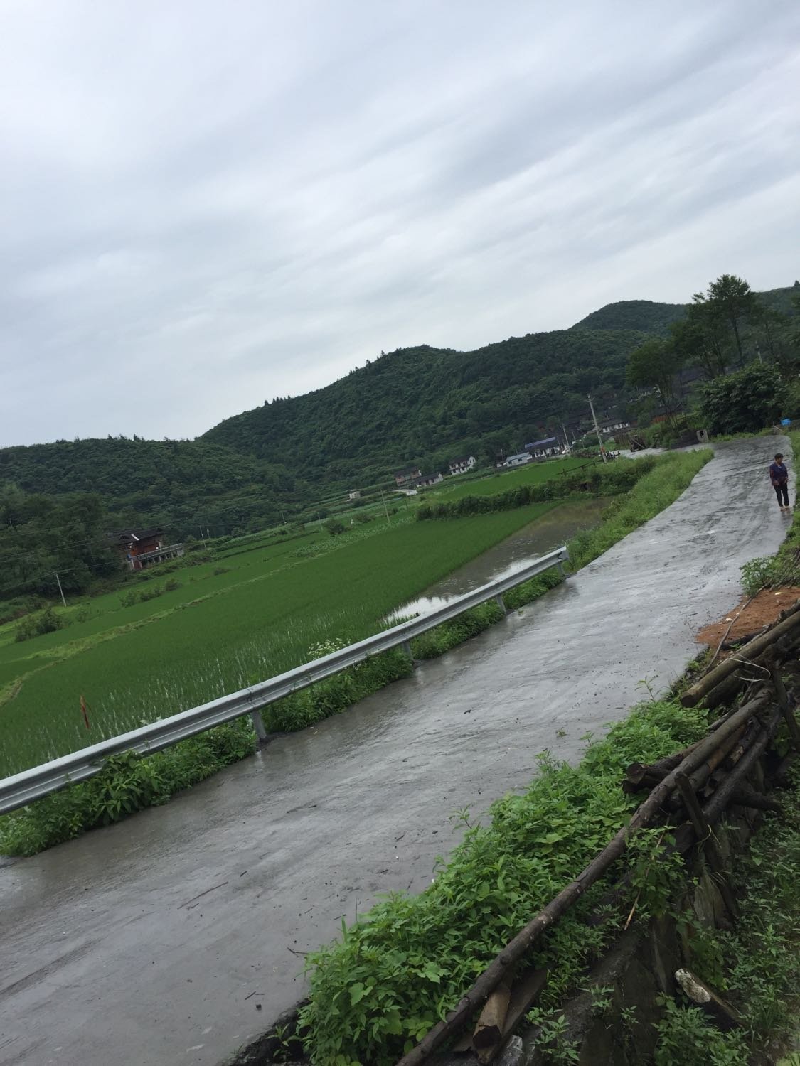 湘漓镇天气预报详解，最新气象信息汇总