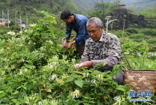 古寨瑶族乡最新新闻动态报道速递