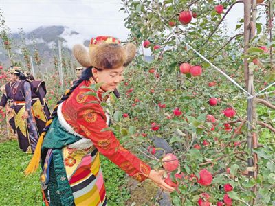 羌纳乡新项目，乡村发展的强大引擎驱动力